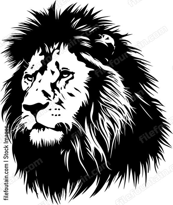 Cute Lion