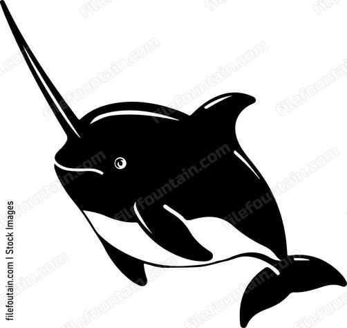 Cute Narwhal