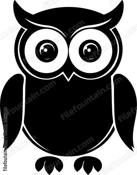 Cute Owl