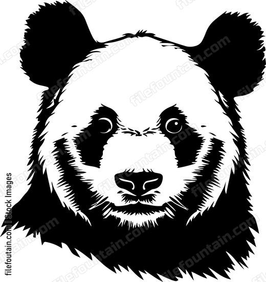 Cute Panda