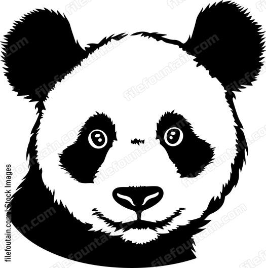 Cute Panda