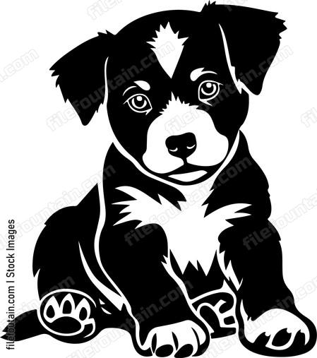 Cute Puppy