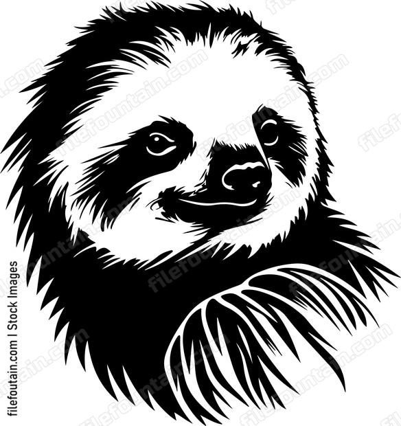 Cute Sloth