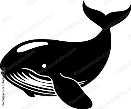 Cute Whale