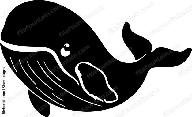 Cute Whale
