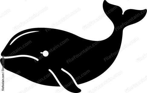 Cute Whale Design