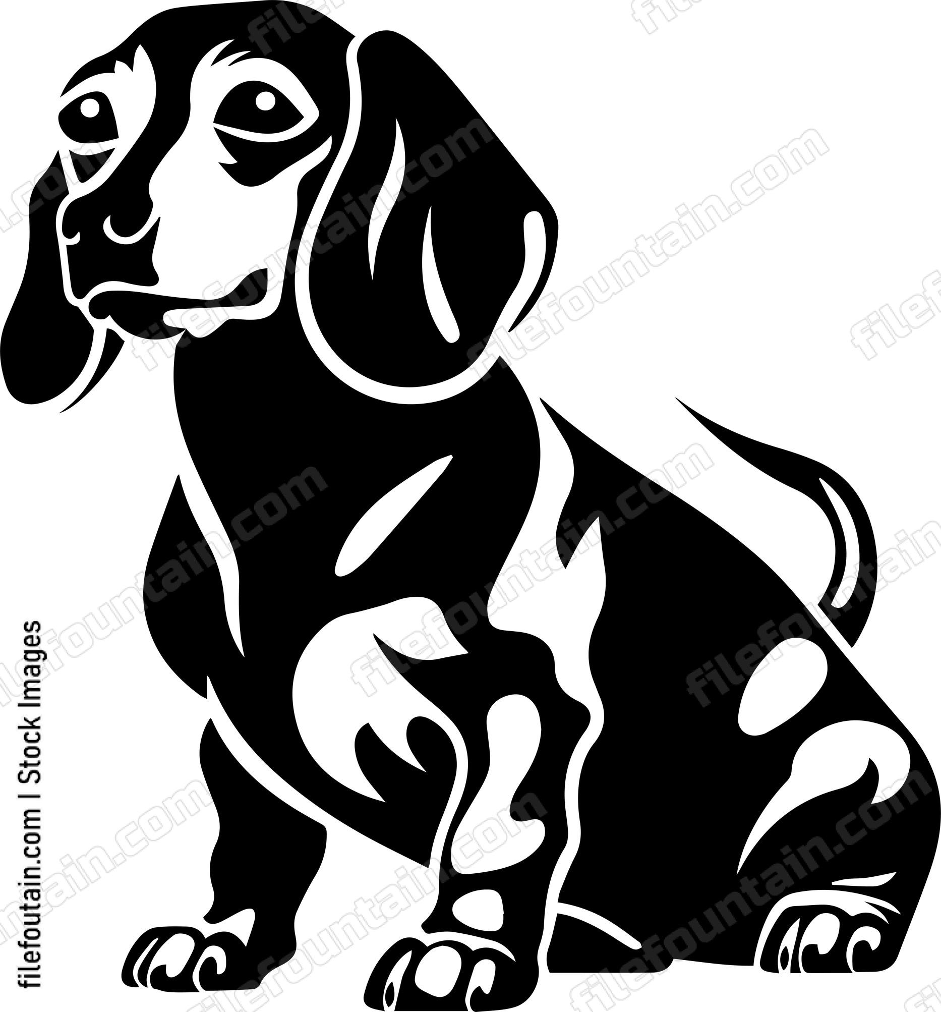 Dachshund