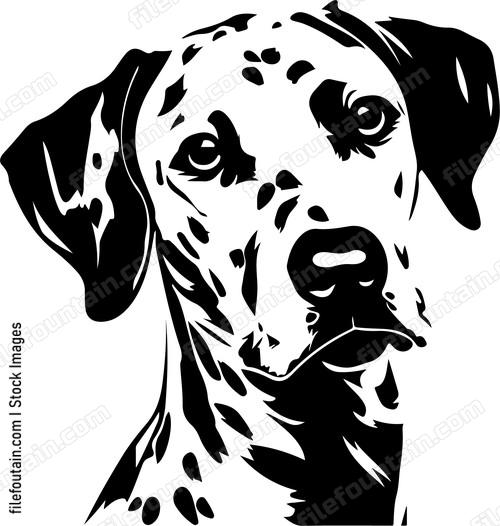 Dalmatian