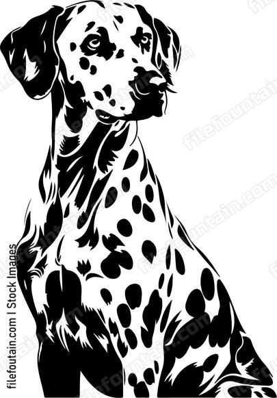 Dalmatian