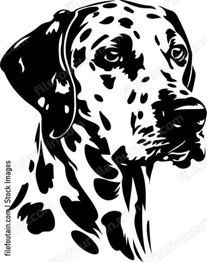 Dalmatian