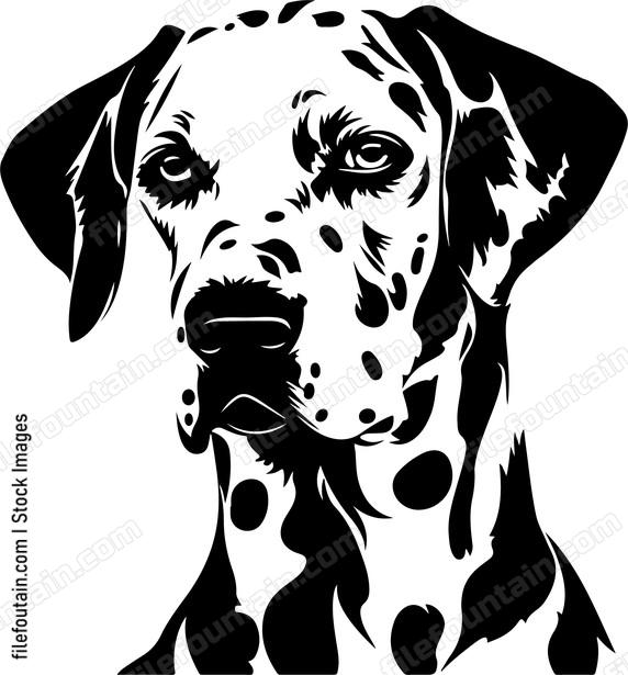 Dalmatian