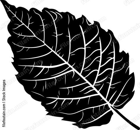 Dark leaf shape