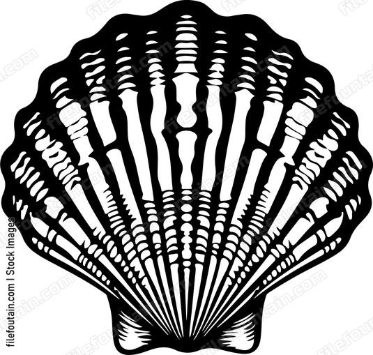 Decorative Sea Shell