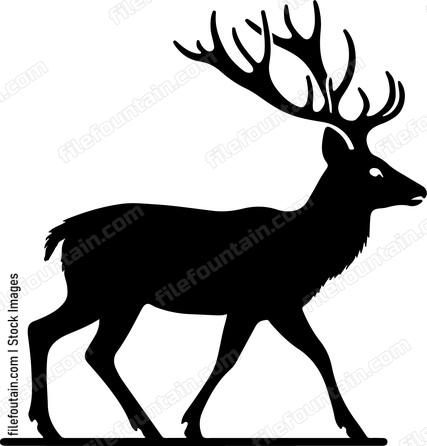 Deer adapting to changing seasons and environments