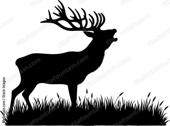 Deer alerting the herd with a distinctive call