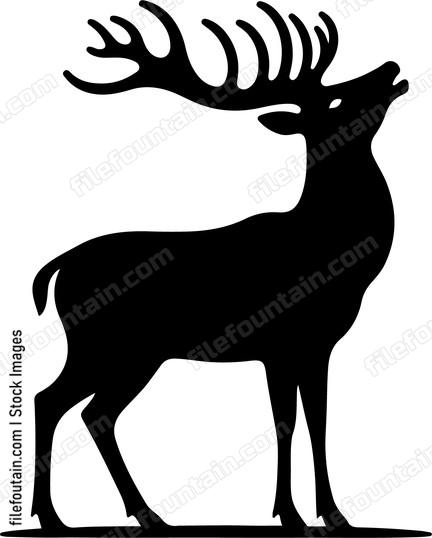Deer alerting the herd with a distinctive call