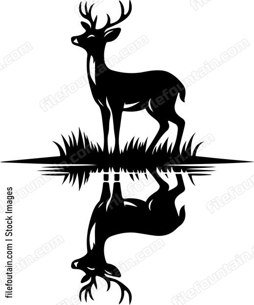 Deer and its reflection in a still pond