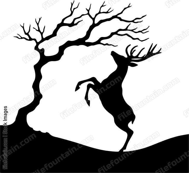 Deer balancing on hind legs to reach high branches