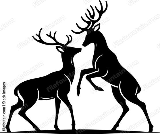 Deer engaging in a gentle sparring match with another deer