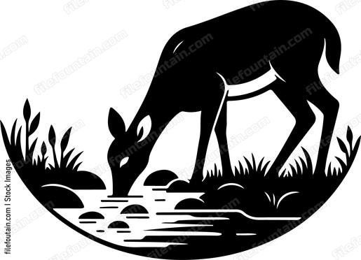 Deer enjoying a drink from a crystal clear stream