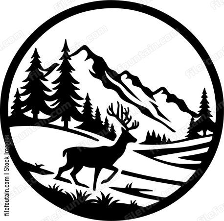 Deer exploring