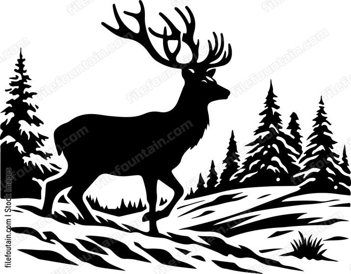 Deer exploring
