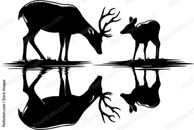 Deer gazing curiously at its reflection in a still pond