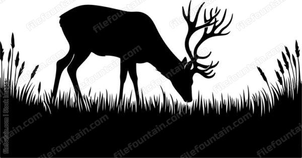 Deer grazing peacefully in a sunlit meadow
