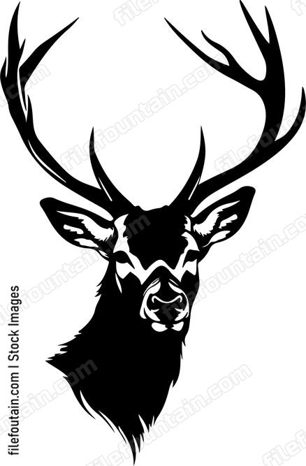 Deer Head