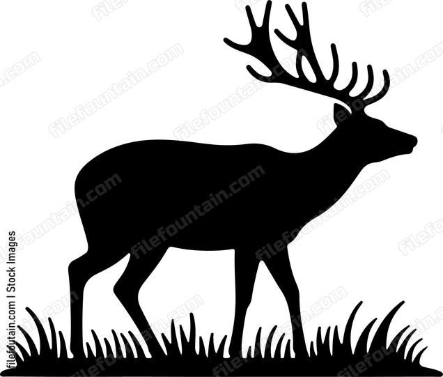 Deer marking its territory with scent glands
