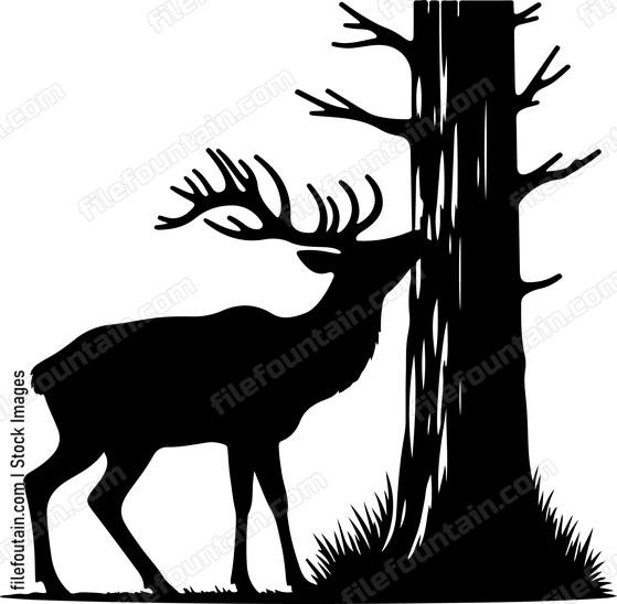 Deer scratching its antlers against a tree trunk
