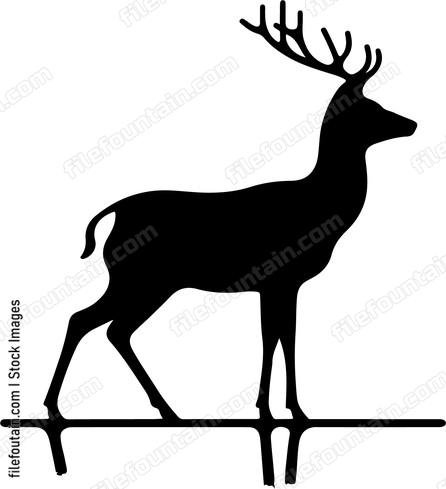 Deer searching for a suitable spot to rest