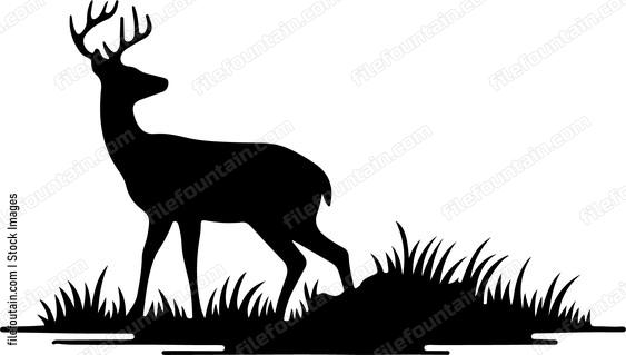 Deer searching for a suitable spot to rest