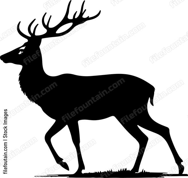 Deer searching for a suitable spot to rest