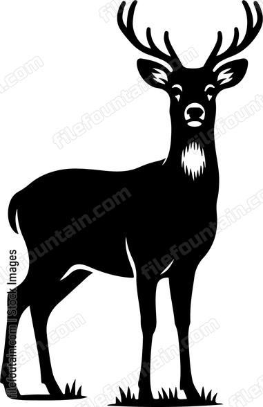 Deer standing alert ears perked for any sounds