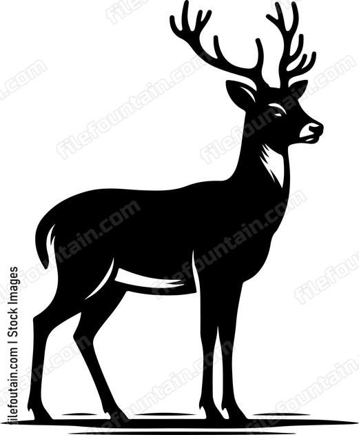 Deer standing alert ears perked for any sounds