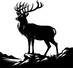 Deer standing majestically on a rocky outcrop