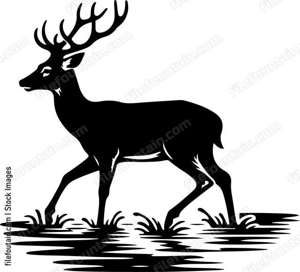 Deer wading through a shallow stream with ease