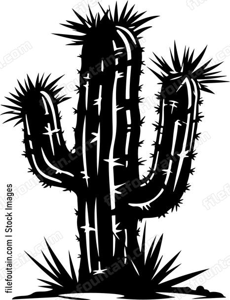 Desert Cactus