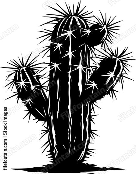 Desert Cactus