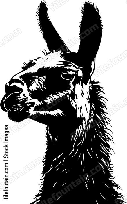 Desert Llama