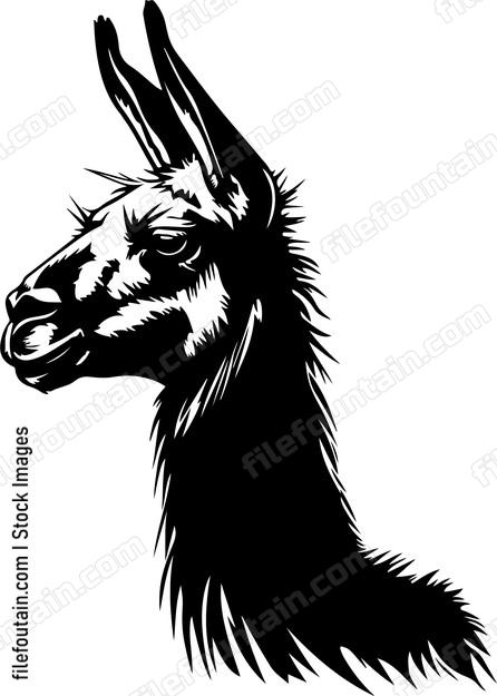 Desert Llama