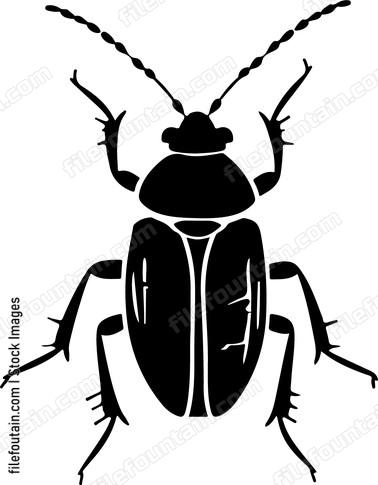 Detailed bug