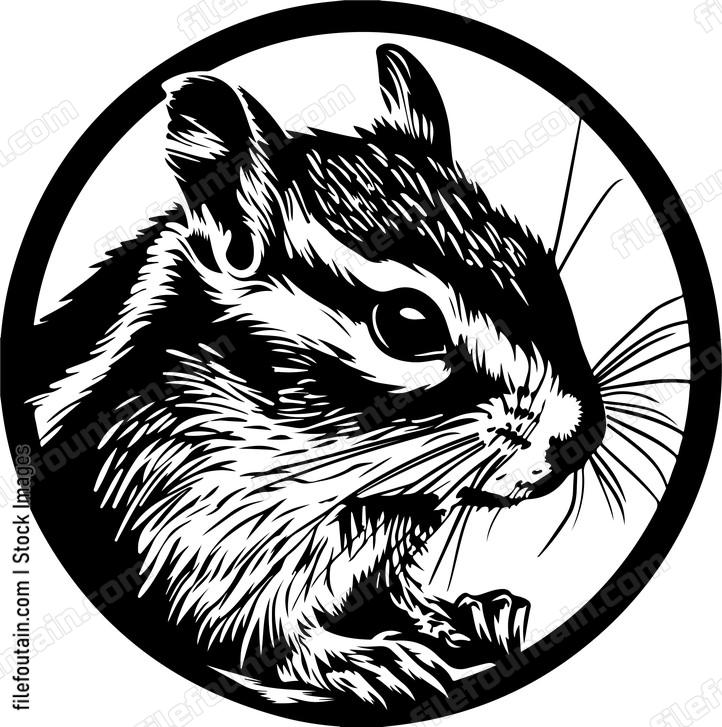 Detailed chipmunk face