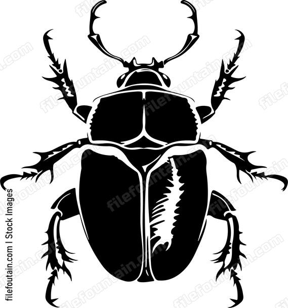 Detailed horned beetle