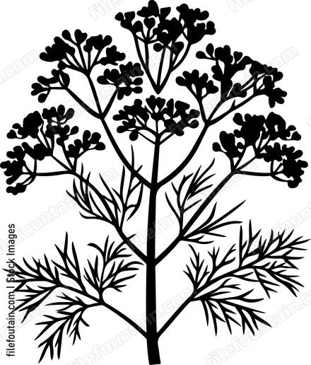 Dill Bundle
