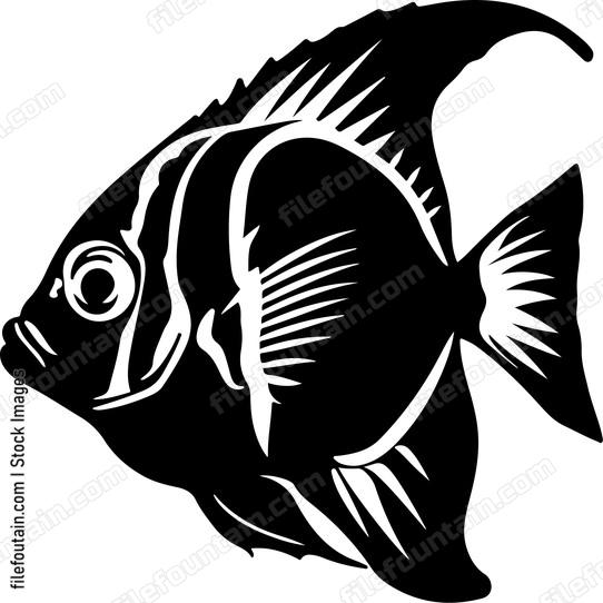Discus