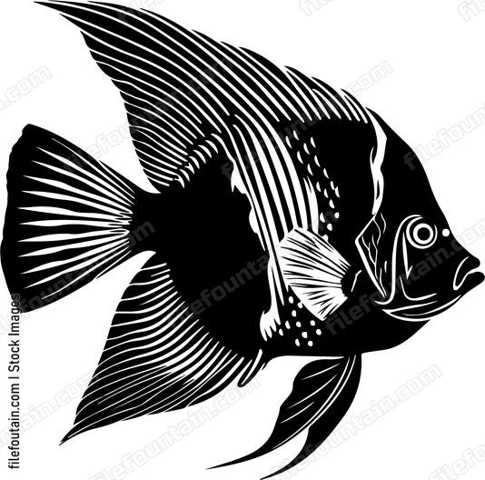 Discus