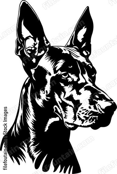 Doberman Dog