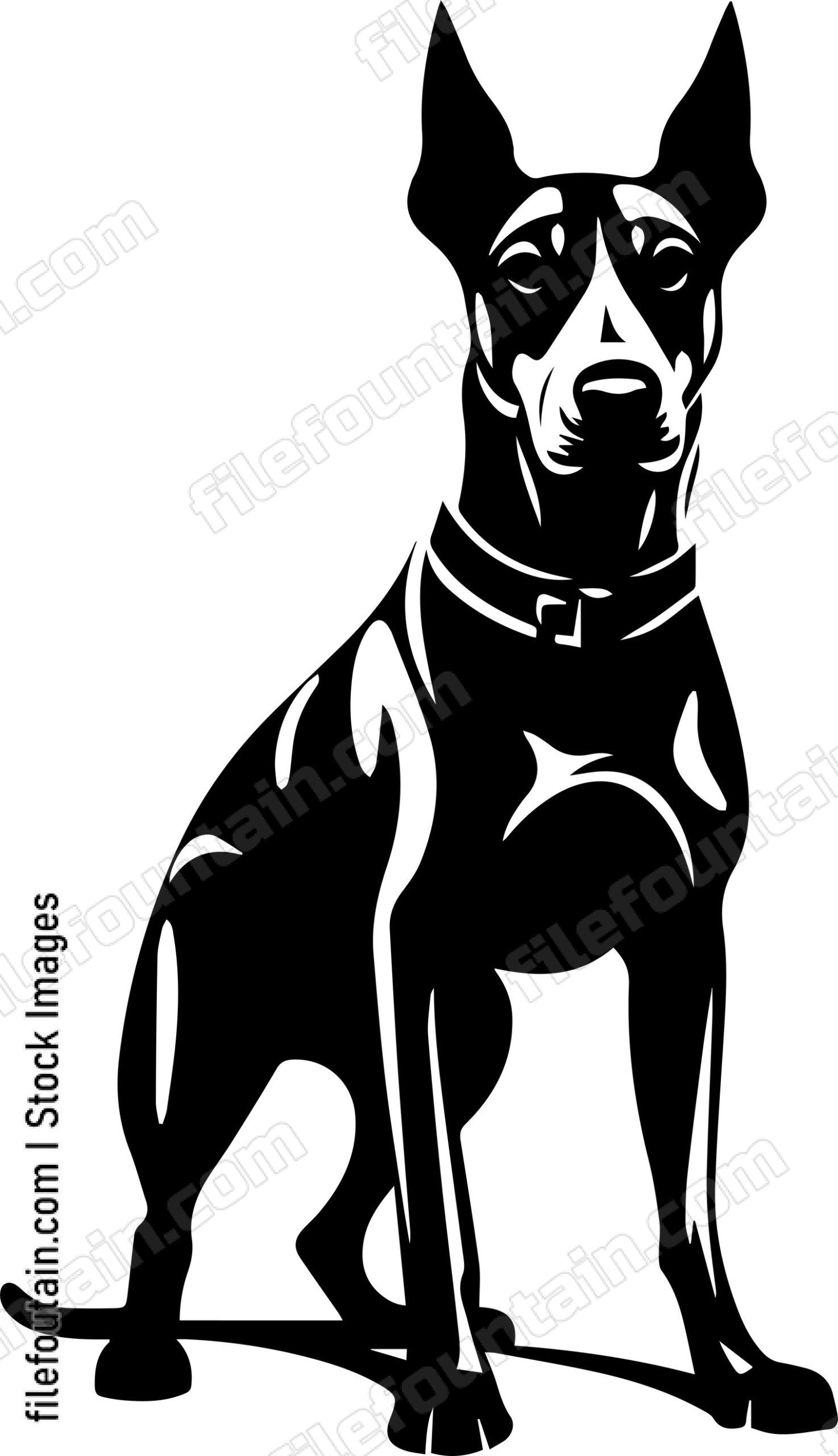 Doberman Pinscher